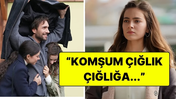 Taşacak Bu Deniz Fanı Komşusunun Çığlıklarıyla Fragmandan Haberdar Olmuş