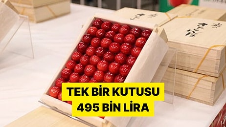 Tanesi 7 Bin Liraya Alıcı Buldu! Japonya'da Üretilen Özel Kiraz Rekor Fiyata Satıldı