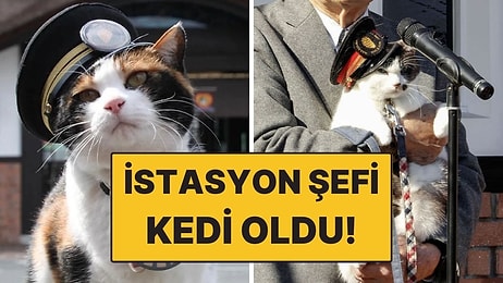 Japonya’da İstasyon Şefi Yine Kedi Oldu! Resmi Tören Düzenlendi