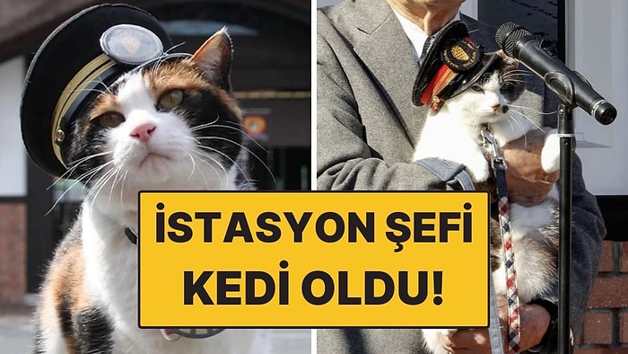 Japonya’da İstasyon Şefi Yine Kedi Oldu! Resmi Tören Düzenlendi