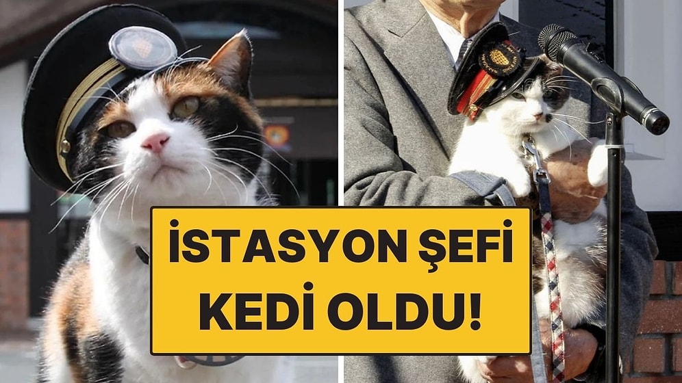 Japonya’da İstasyon Şefi Yine Kedi Oldu! Resmi Tören Düzenlendi