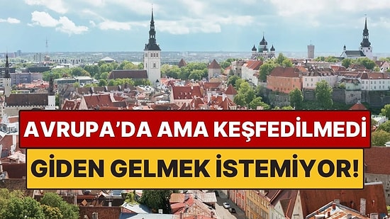 Avrupa Ülkesi Ancak Hala Keşfedilmedi! 2 Binden Fazla Adası Var: Doğayla İç İçe