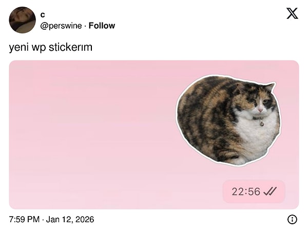 Kimileri sticker yaparken...