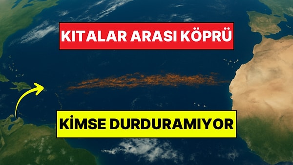 Afrika ile Amerika Arasında Kıtasal Bir Köprü Oluşuyor!