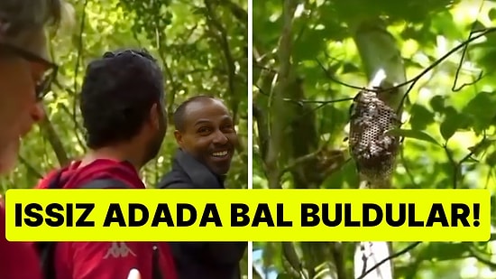 Bal Buldular Ama... Survivor 2026'da Arı Kovanı Bulan Ünlülerin Güldüren Anları
