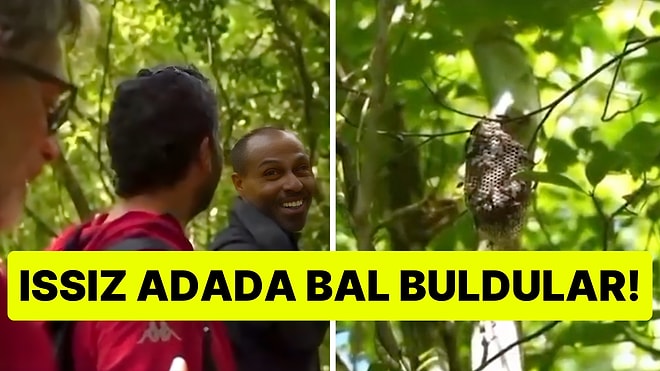 Bal Buldular Ama... Survivor 2026'da Arı Kovanı Bulan Ünlülerin Güldüren Anları