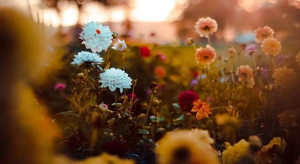 Birinci Cemre: Zihinsel Uyanış