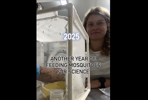 Tıbbi entomolog (tıbbi böcek bilimci) tam olarak ne iş yapıyor?