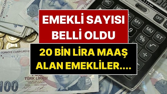 Emekli Sayısı Açıklandı: 25 Bin Liranın Üzerinde Maaş Alan Emekli Sayısı Belli Oldu