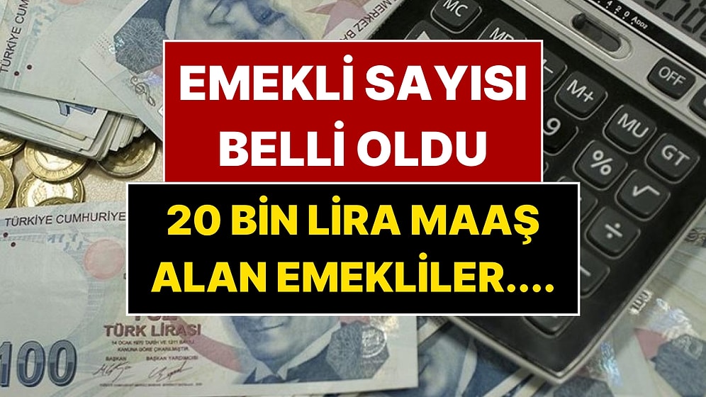 Emekli Sayısı Açıklandı: 25 Bin Liranın Üzerinde Maaş Alan Emekli Sayısı Belli Oldu