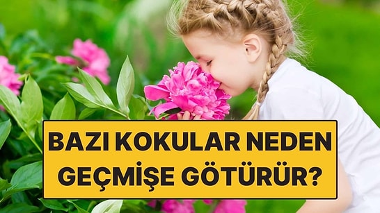 Bazı Kokular Neden Bizi Geçmişe Götürür?