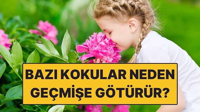Bazı Kokular Neden Bizi Geçmişe Götürür?