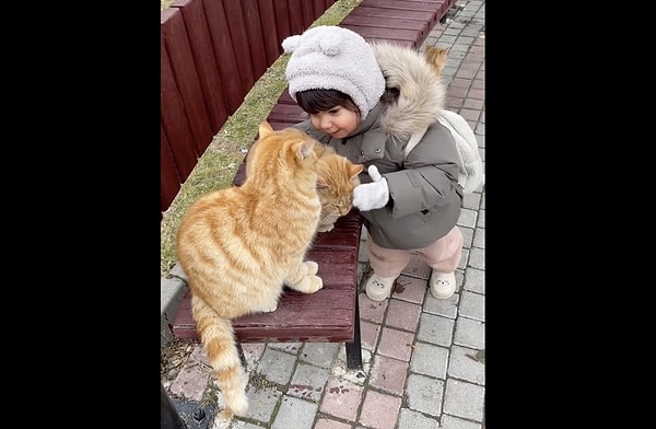 Bir çocuğun hayvan sevgisiyle büyütülmesi çocuğun gelişimi için de çok önemli. Peki bunun ne gibi faydaları var?