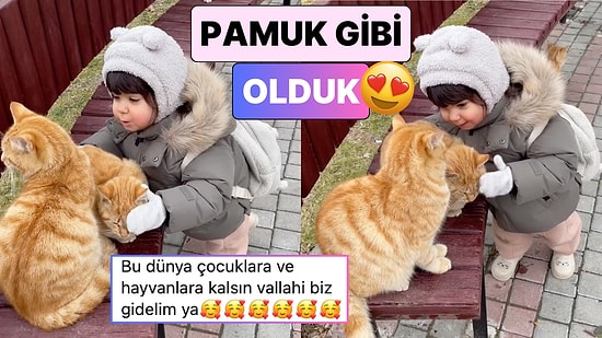 Sokakta Gördüğü Kedilerin Üşüdüğünü Fark Eden Miniğin Tatlı Teklifini İzlerken Pamuk Gibi Olacaksınız