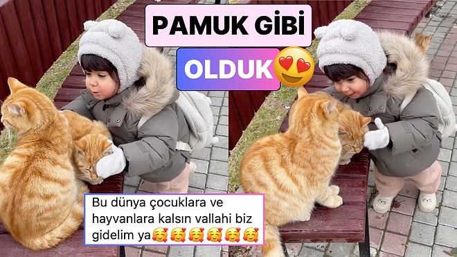 Sokakta Gördüğü Kedilerin Üşüdüğünü Fark Eden Miniğin Tatlı Teklifini İzlerken Pamuk Gibi Olacaksınız