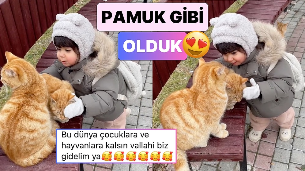 Sokakta Gördüğü Kedilerin Üşüdüğünü Fark Eden Miniğin Tatlı Teklifini İzlerken Pamuk Gibi Olacaksınız