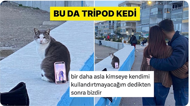 Bir Çiftin Tripod Olarak Kullandığı Kedi Viral Oldu