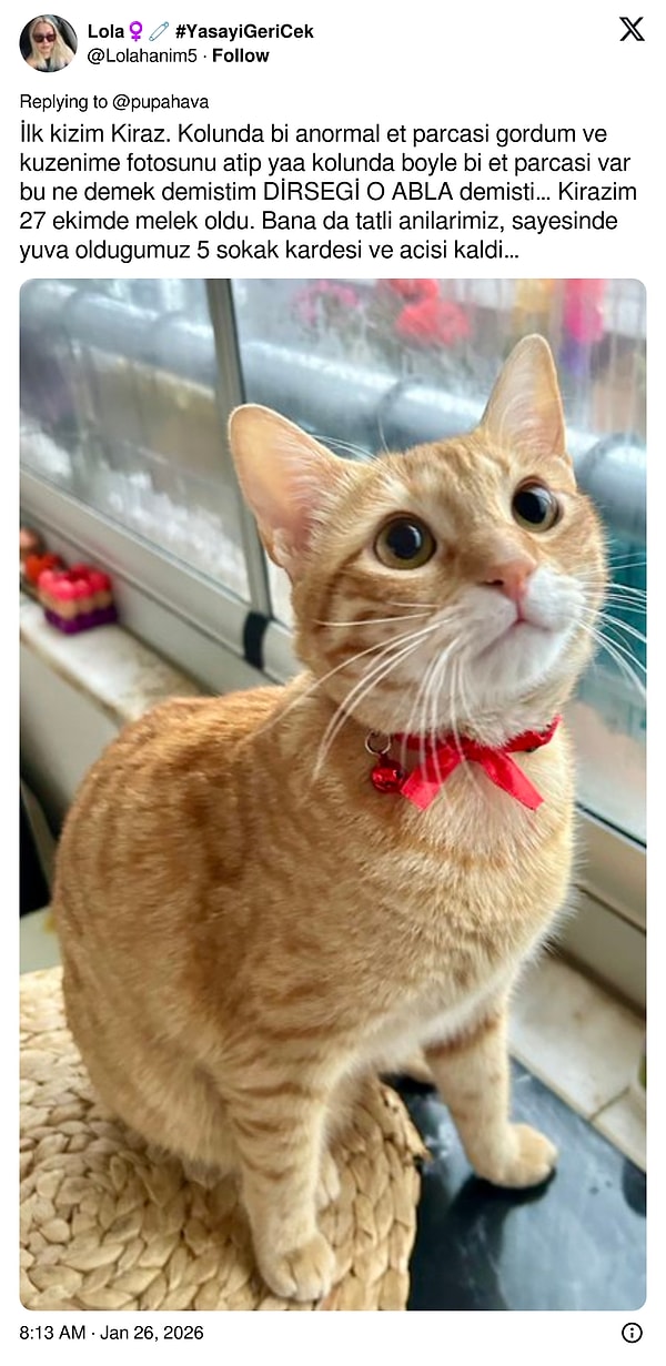 Tabii kendisi yalnız değildi.