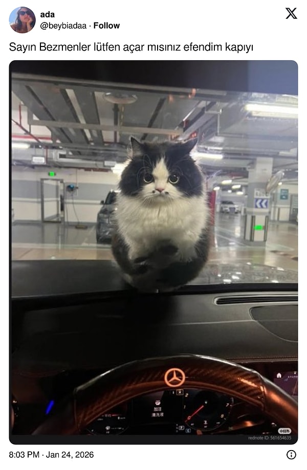 Sonrası şiddet içeriyor.