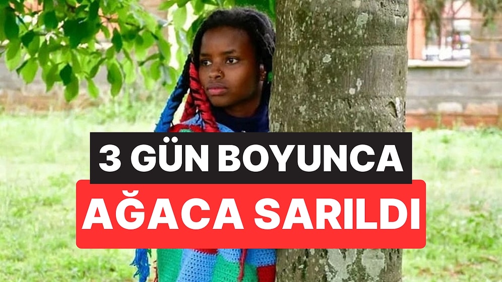 Kenyalı Çevre Aktivisti Guinness Rekorlar Kitabı'na Girdi: 72 Saat Boyunca Ağaca Sarıldı