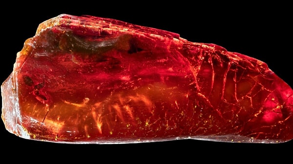 Friedrich Schiller Üniversitesi araştırmacıları, Goethe’nin Weimar’daki ulusal müzede korunan koleksiyonunu inceleyerek büyüleyici bulgulara ulaştı.