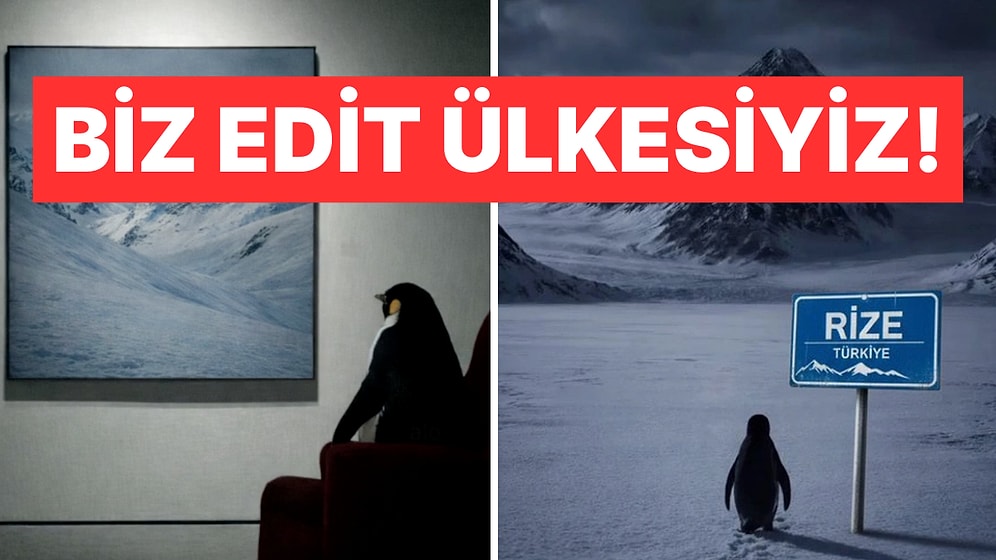 Adeta İçimizden Biri Gibi Olan "Nihilist Penguen" Sosyal Medyanın Gözdesi Oldu