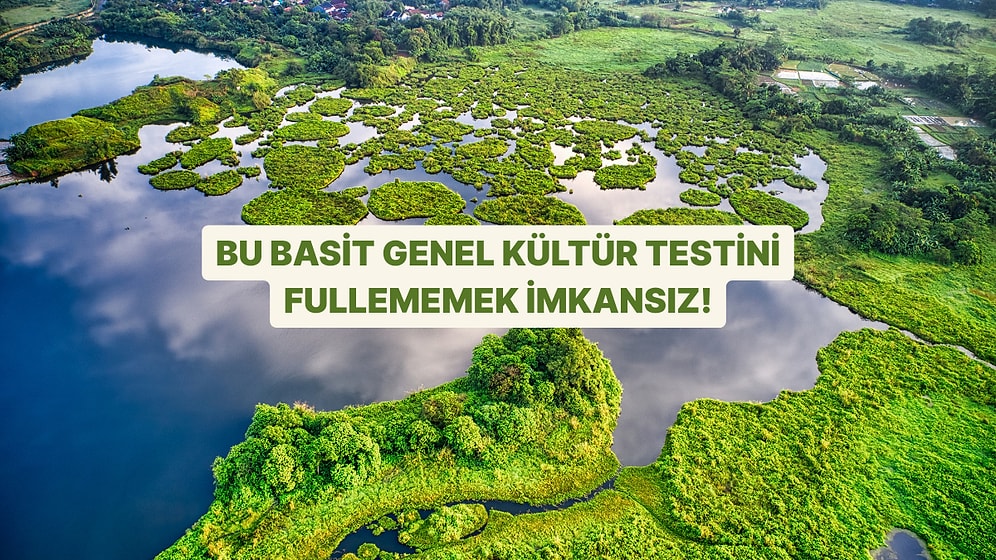Bu Basit Genel Kültür Testini Fullememek İmkansız!