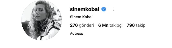 Sinem Kobal'ın takipten çıktığı hesaplar şu şekilde: