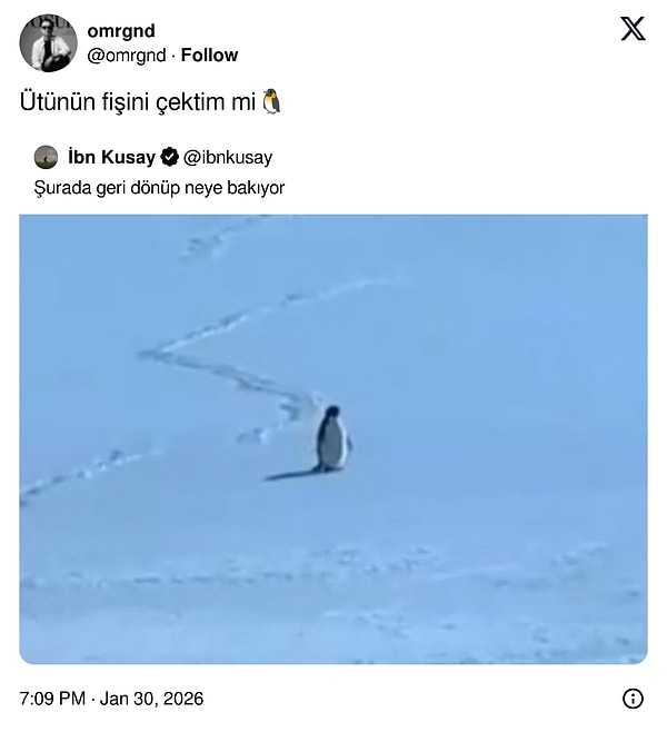 O zaman kesin hepimiz pengueniz.