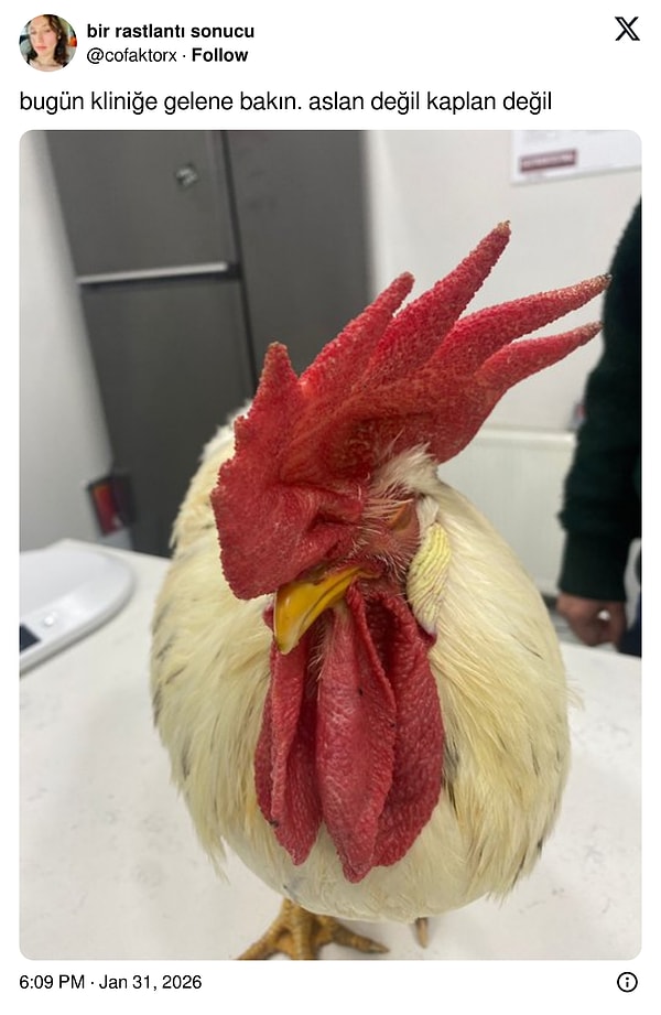 Sonunda doğru yerdesin ❤️