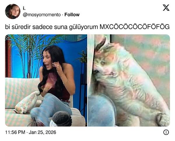 19. Benim kedimin de böyle rollenmeleri var