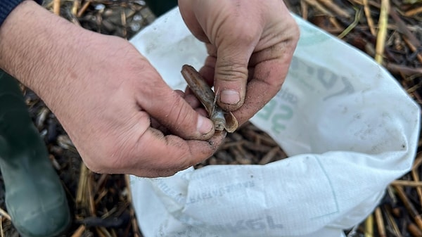 Balıkçılar tüketim konusunda kritik uyarıda bulunuyor.