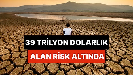 Türkiye’de Denizden Büyük Sulak Alan Yok Edildi: Kalan 39 Trilyon Dolarlık Alan Risk Altında