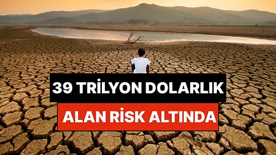 Türkiye’de Denizden Büyük Sulak Alan Yok Edildi: Kalan 39 Trilyon Dolarlık Alan Risk Altında