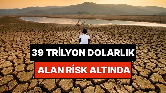Türkiye’de Denizden Büyük Sulak Alan Yok Edildi: Kalan 39 Trilyon Dolarlık Alan Risk Altında