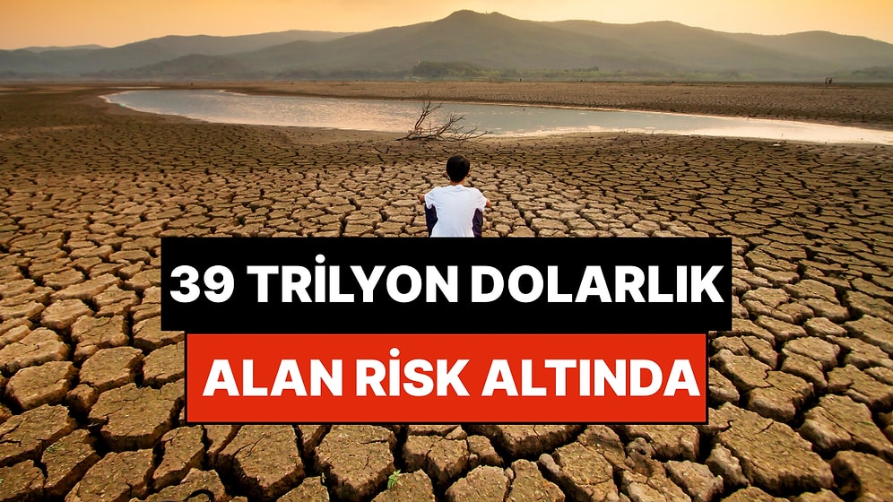 Türkiye’de Denizden Büyük Sulak Alan Yok Edildi: Kalan 39 Trilyon Dolarlık Alan Risk Altında