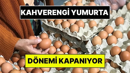 Kahverengi Yumurta Piyasadan Siliniyor! Marketlerin Tercihi Beyaz Yumurta Oldu