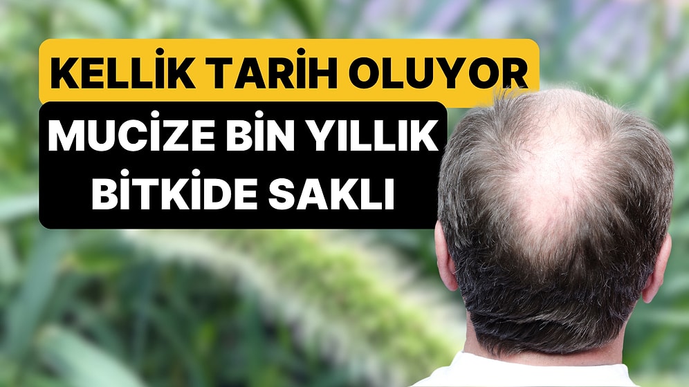 Kelliğin Çözümü Çin Tıbbında Binlerce Yıldır Kullanılan Bitkide Bulundu