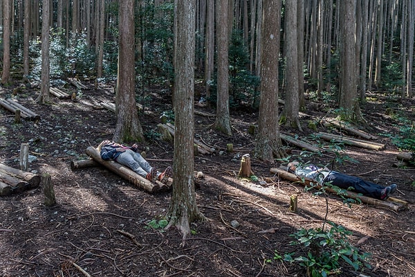 Orman banyosunun merkezinde duyularla yeniden bağ kurmak yatıyor.