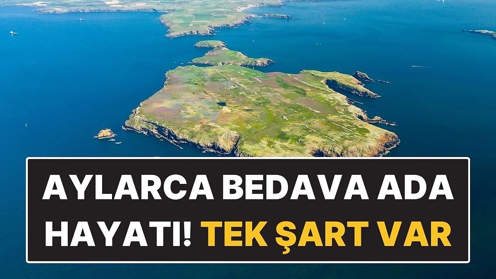 Bu Adada Aylarca Ücretsiz Yaşayabilirsiniz! Ancak Bir Şartı Var
