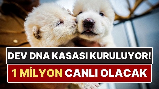 Dünyanın En Büyüğü Olacak! 1 Milyon Canlının DNA’sı Dev Kasaya Kilitleniyor