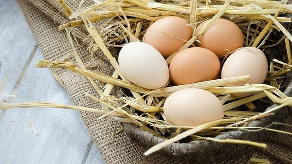 Yumurta, hiç şüphesiz oldukça değerli bir besin.
