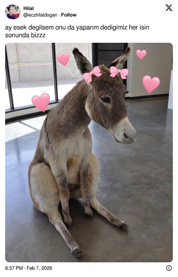 Öyle şeyler demeyi bırakmadık mı?