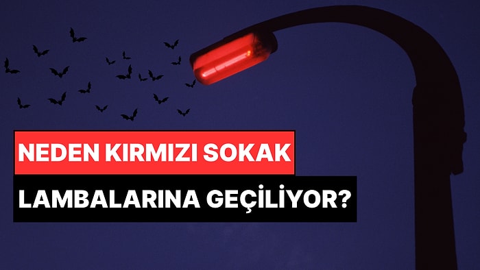Sokak Lambaları Tek Tek Değiştirilmeye Başlandı: Avrupa Neden Kırmızı Sokak Lambalarına Geçiyor?