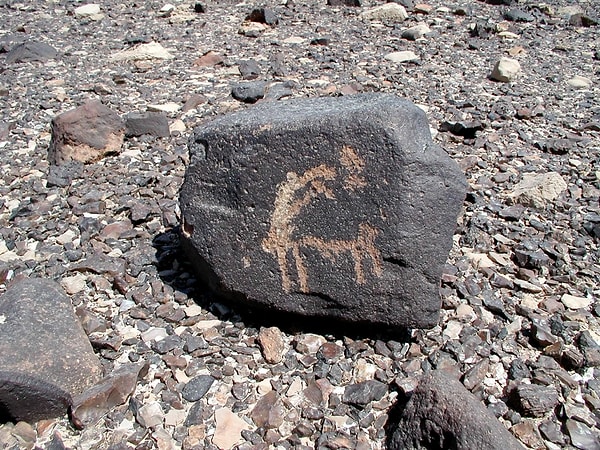 Mısır’ın Sina Yarımadası’nda yürütülen son saha çalışmaları, insanlık tarihine ışık tutan benzersiz bir keşfi ortaya çıkardı.