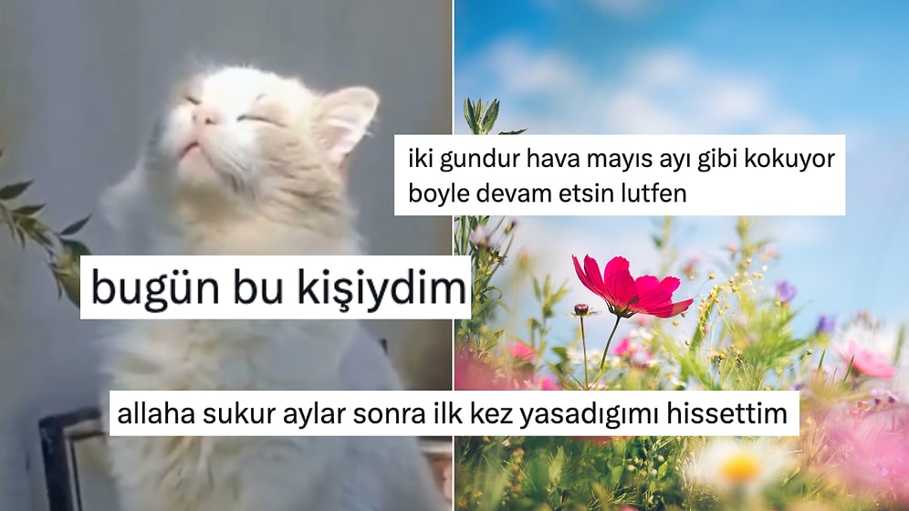 İki Gram Güneş Görünce Mutluluktan Dört Köşe Olan X Ahalisi