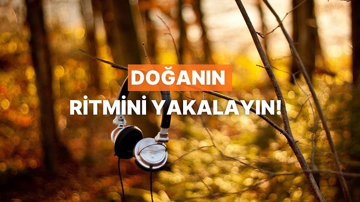 Doğanın Uyanışına Eşlik Eden 12 Enstrümantal Parça