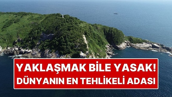 Yaklaşmak Bile Yasak! Dünyanın En Tehlikeli Adası