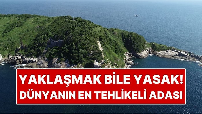 Yaklaşmak Bile Yasak! Dünyanın En Tehlikeli Adası