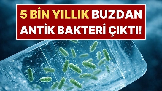 5 Bin Yıllık Buzdan Antik Bakteri Çıktı! Modern Tıbbın Geleceğini Sarsabilir
